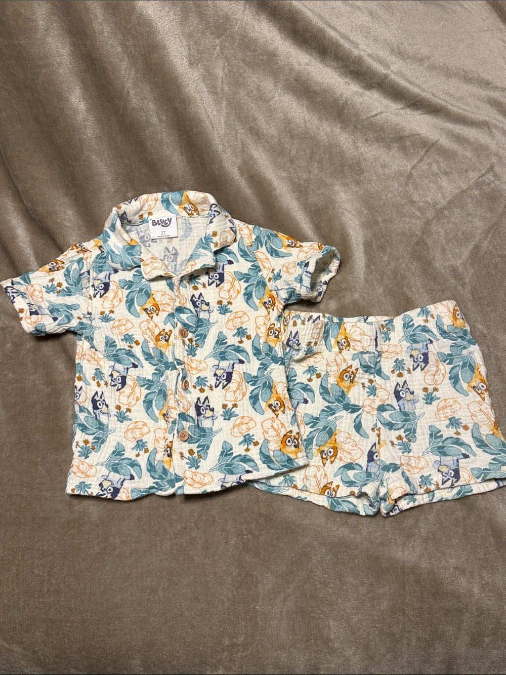 Bluey short set 2T